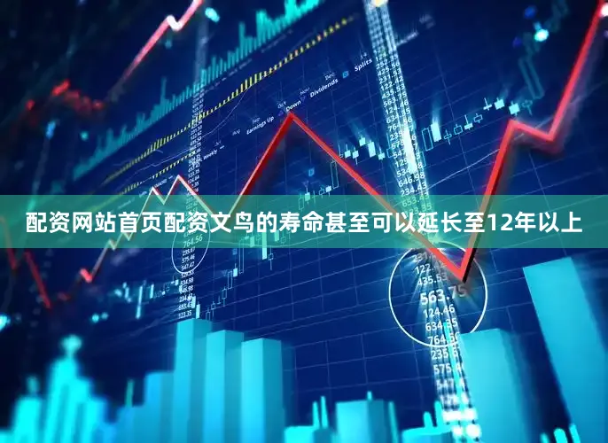 配资网站首页配资文鸟的寿命甚至可以延长至12年以上